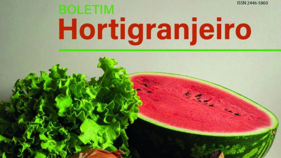Preço da cenoura cai 16% em setembro, aponta Conab