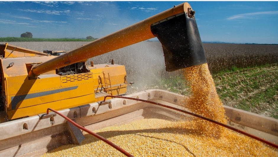 Gargalos nos portos pressionam preços do milho no Brasil