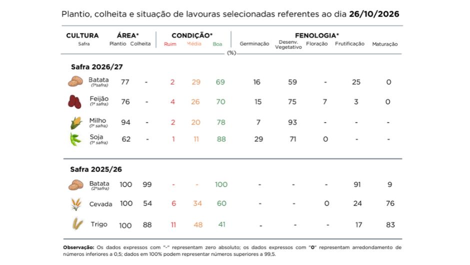 PR Safra 2026/27: excesso de chuva causa perdas em lavouras