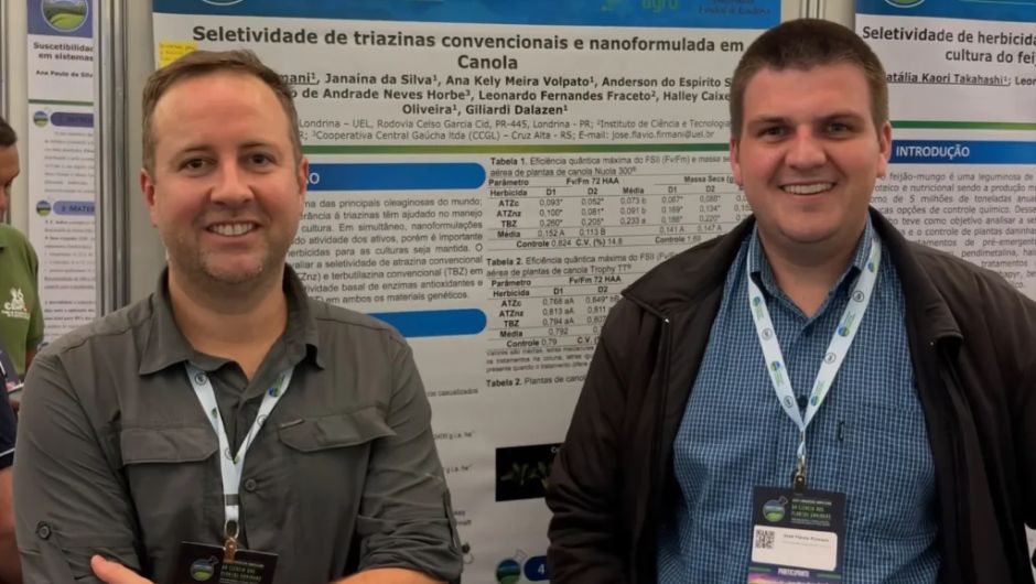 Nanotecnologia aumenta seletividade de herbicida na canola