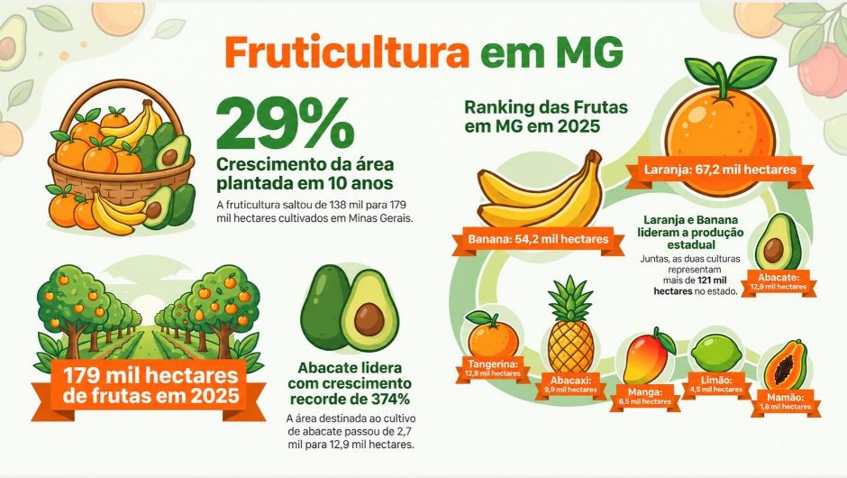 Fruticultura em Minas Gerais avança 29% em dez anos