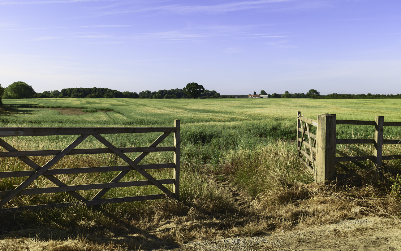 Guest article: Executive impersonation threats are everywhere in agriculture. This is how to respond